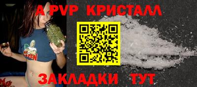 крисы Донской