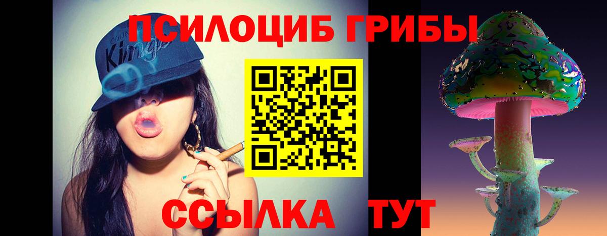 Псилоцибиновые грибы Cubensis  Галлюциногенные грибы GOLDEN TEACHER  Миллерово  Вход с VPN 